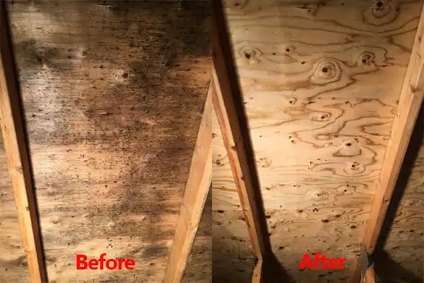 water damage restoration service Leisure World